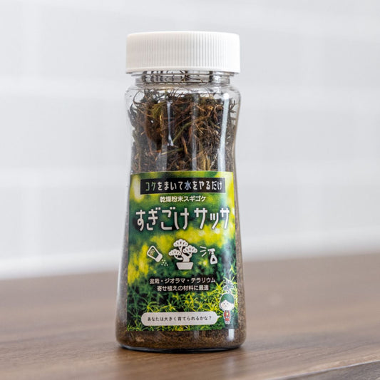 すぎこけサッサ