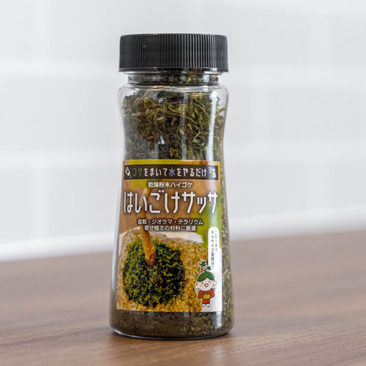 はいごけサッサ