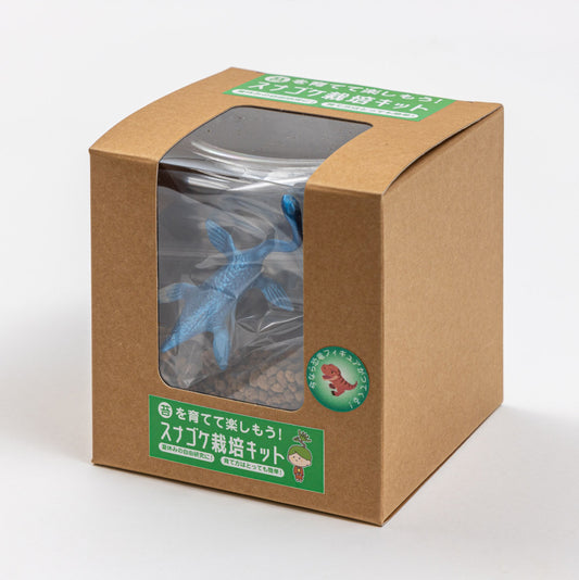 スナゴケ栽培キット