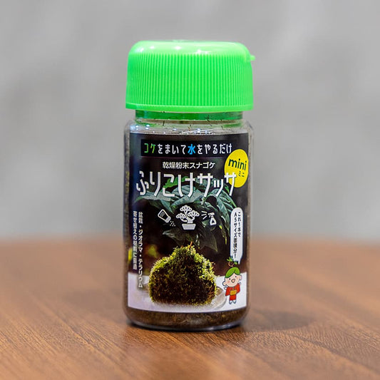 【お手頃価格】ふりこけサッサmini-生やしたいところにサッと撒いて水をやるだけ-